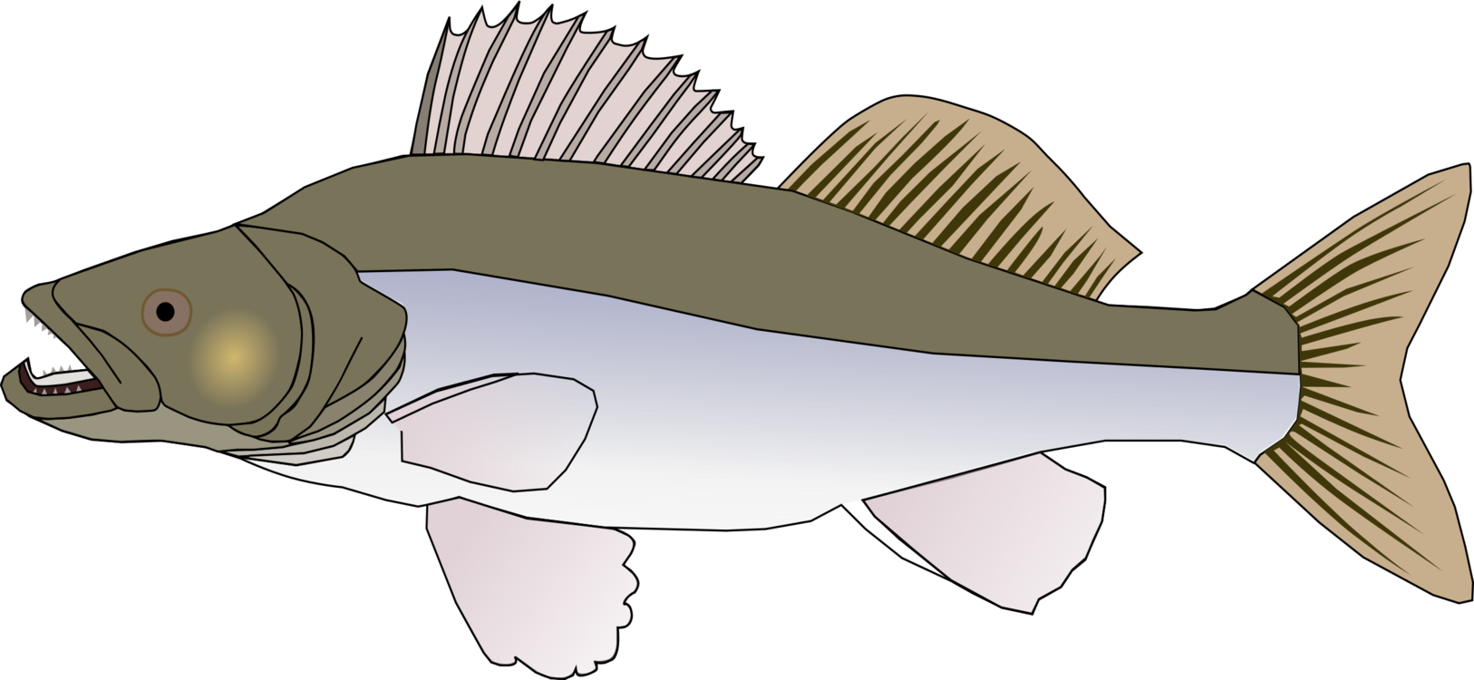 Drawing Graphic Arts Computer Icons Download Big Fish - Big Fish Clipart Png Transparent Png (1626x750), Png Download