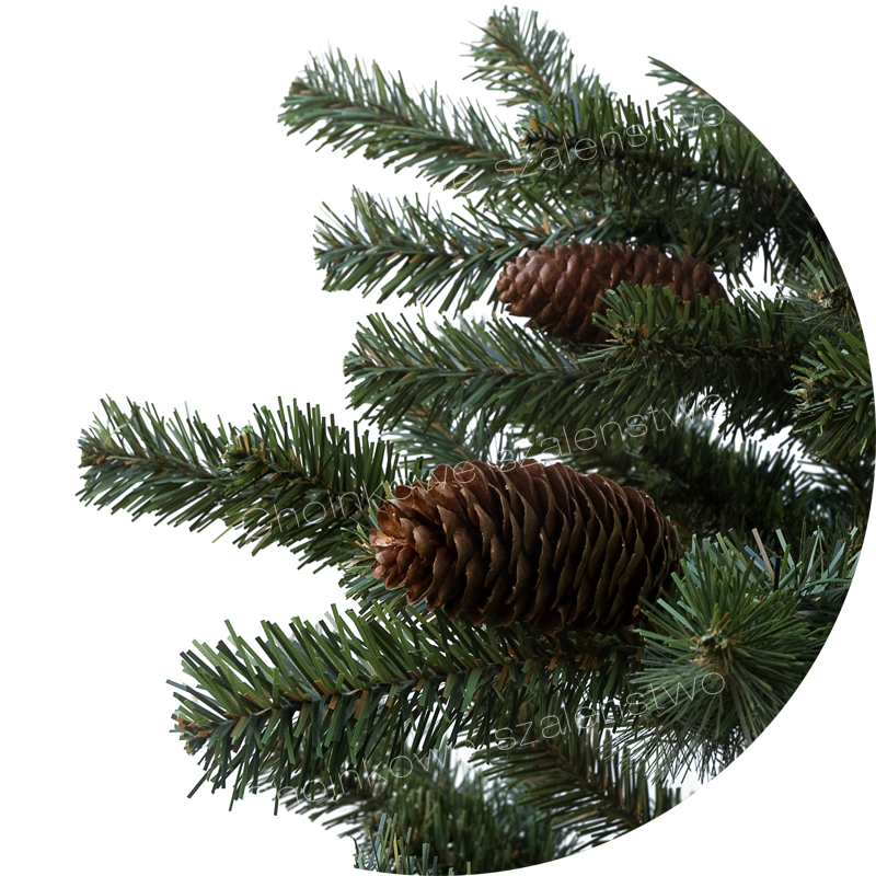2013 12 03 - Christmas Tree Clipart (800x800), Png Download
