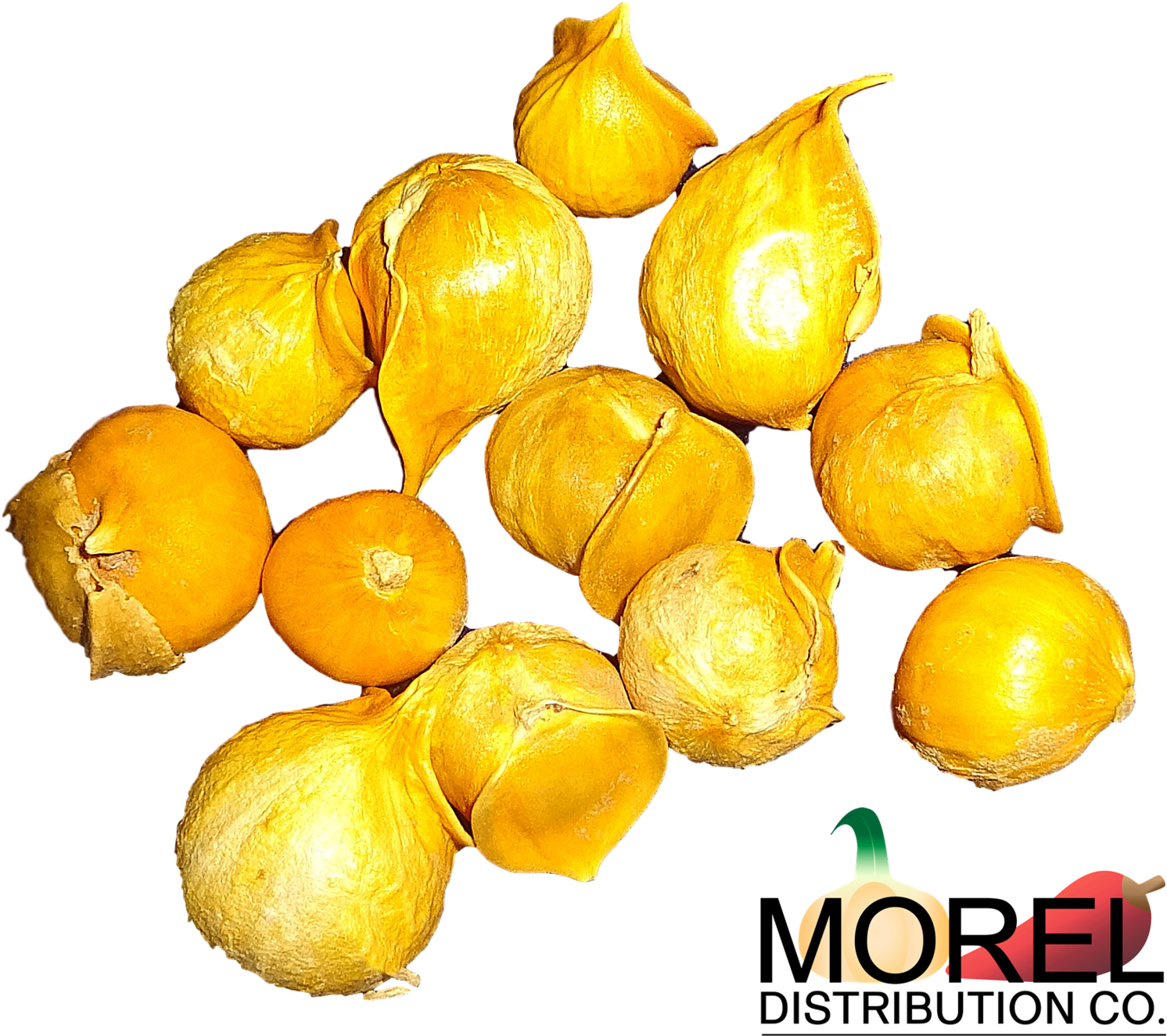 Japanese Garlic//ajo Japones Choose - Natural Foods Clipart (1492x1324), Png Download