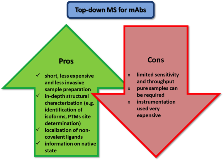 Quality Control And Quantification Through Mass Spectrometry - Advantages Of Using Monoclonal Antibodies To Treat Clipart (764x550), Png Download