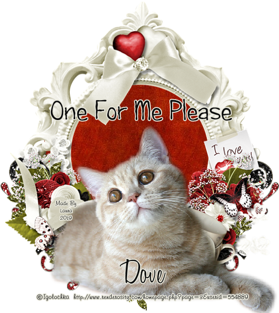 Igolochka Ofmp 119 Dove - Domestic Short-haired Cat Clipart (650x650), Png Download