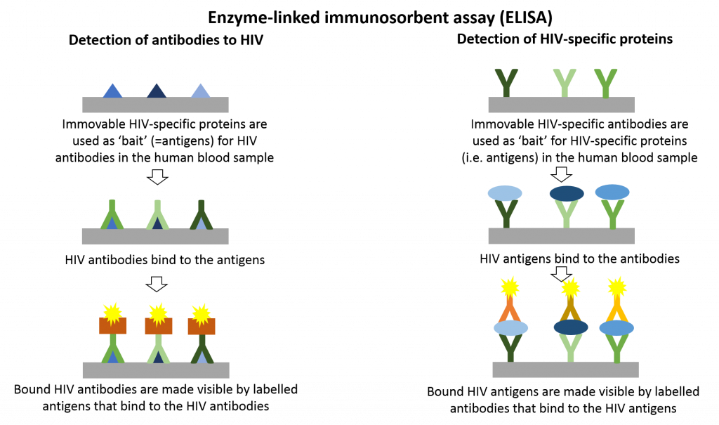 Diagram Clipart (1024x605), Png Download