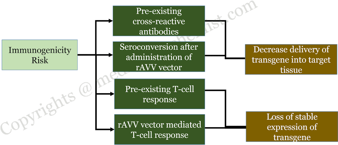 Diagram Clipart (1200x630), Png Download