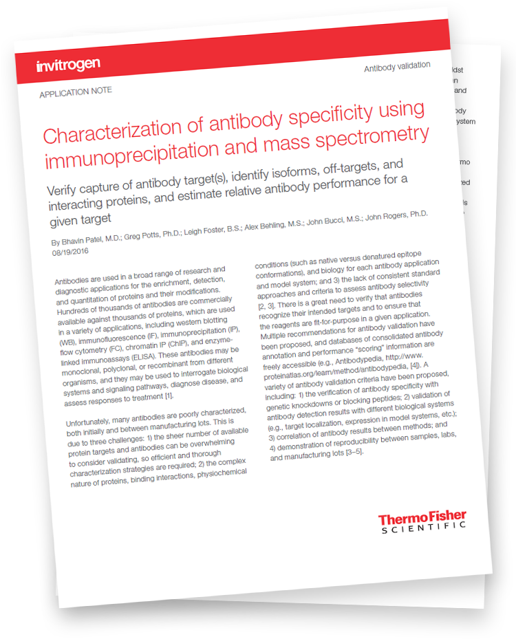 Alphabetized Bible Clipart (749x980), Png Download