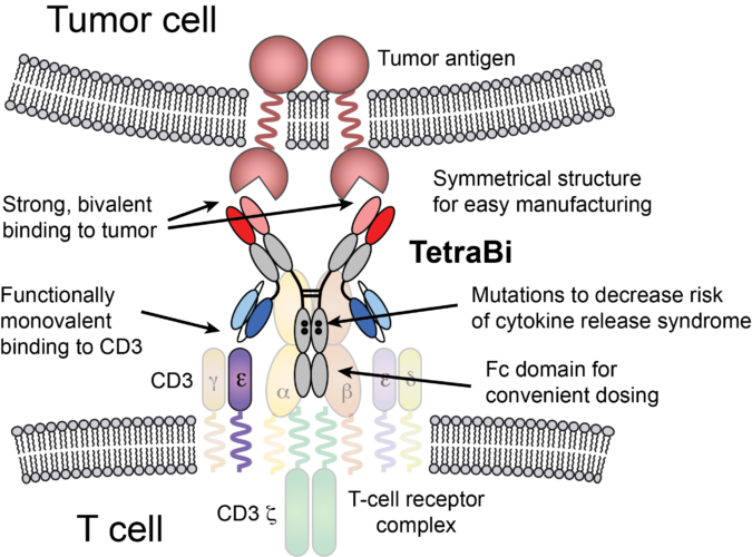 Graphic Design Clipart (675x500), Png Download