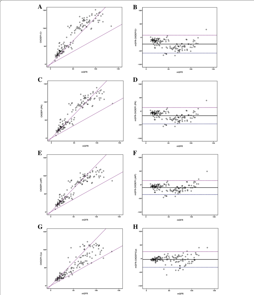 Accuracy Of Egfr Equations Against Mgfr - Line Art Clipart (850x986), Png Download