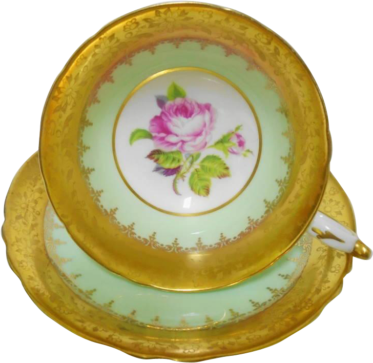 Paragon Fancy Gold Etch Border Pink Rose Center Tea - Rosa Dumalis Clipart (728x708), Png Download