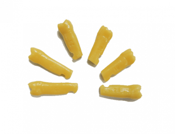 Dente Manequim- Pronew - Dente Manequim Prodens Clipart (600x600), Png Download