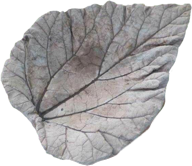 Folhas Sticker - Concrete Clipart (1024x1024), Png Download