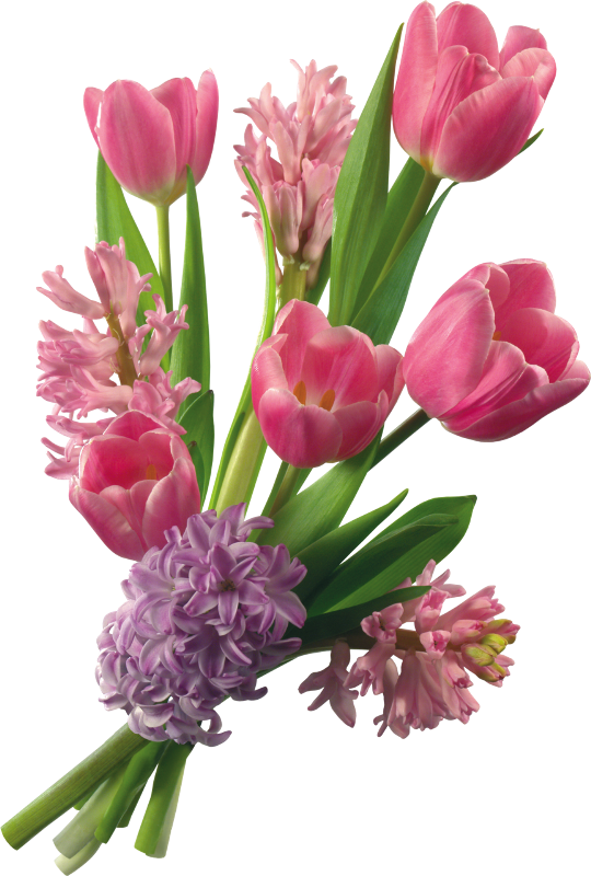 Ramos De Flor Png - Arte Ramos De Flores Clipart (540x800), Png Download
