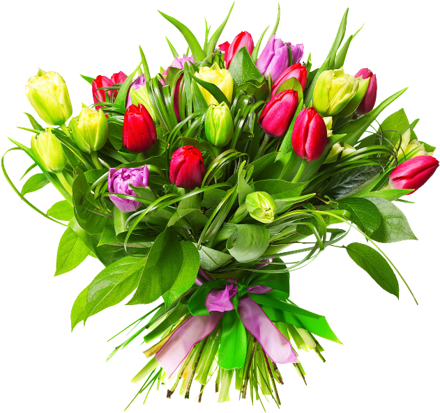 Para Verlas En Tamaño Real Dar Click Sobre Cada Imagen - Superb Flowers Clipart (650x627), Png Download