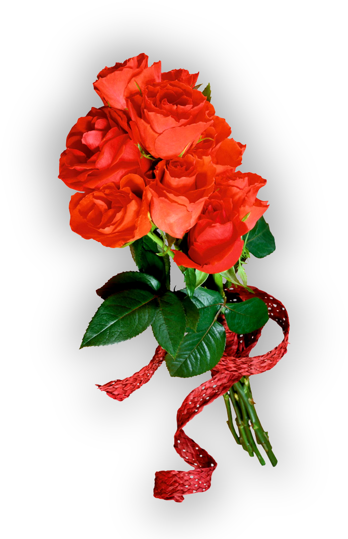 Ramos De Rosas De Fondo Transparente , Png Download - Рамки Для Фотошопа Скачать Бесплатно Clipart (683x1058), Png Download