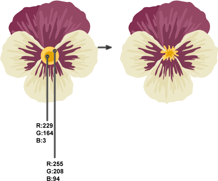Creating Pistil And Stamens - Pansies Pistils And Stamens Clipart (850x657), Png Download