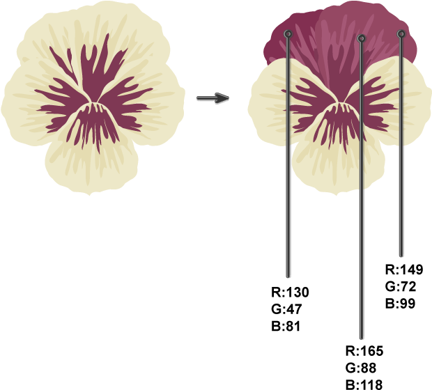 Creating 4th And 5th Petals - Dianthus Clipart (850x632), Png Download
