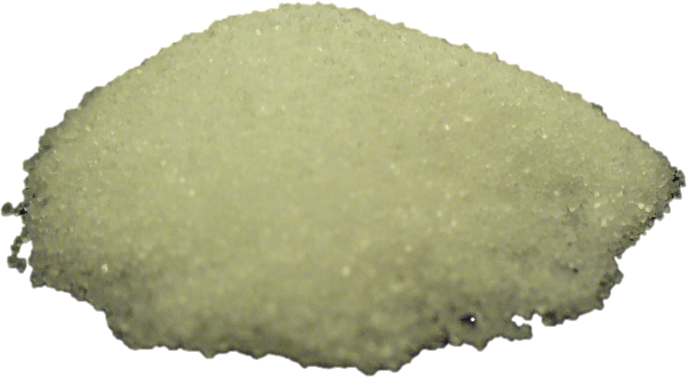 Salt Trans - Plant Clipart (2302x1418), Png Download