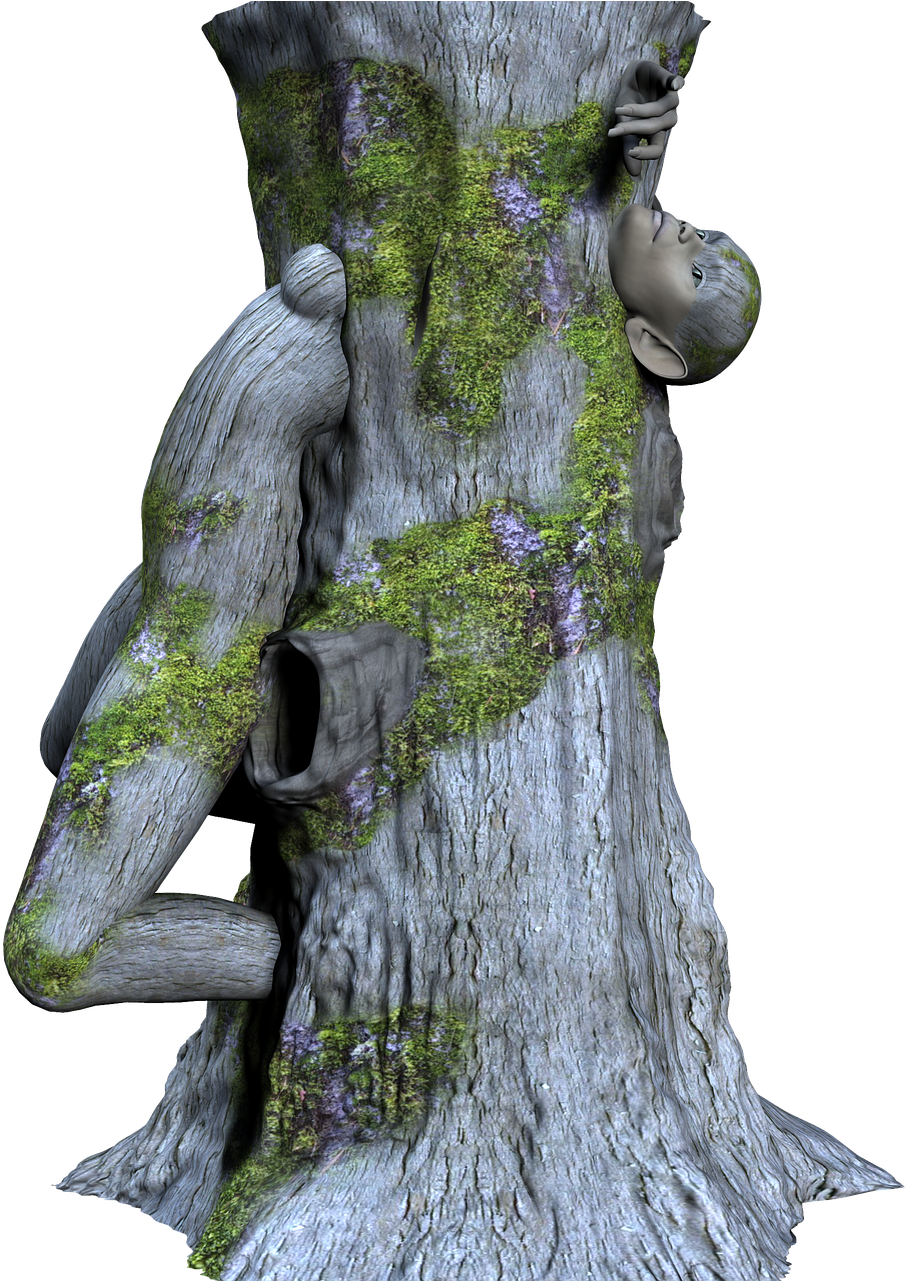 3d Hd Nature Png Clipart (1280x1280), Png Download