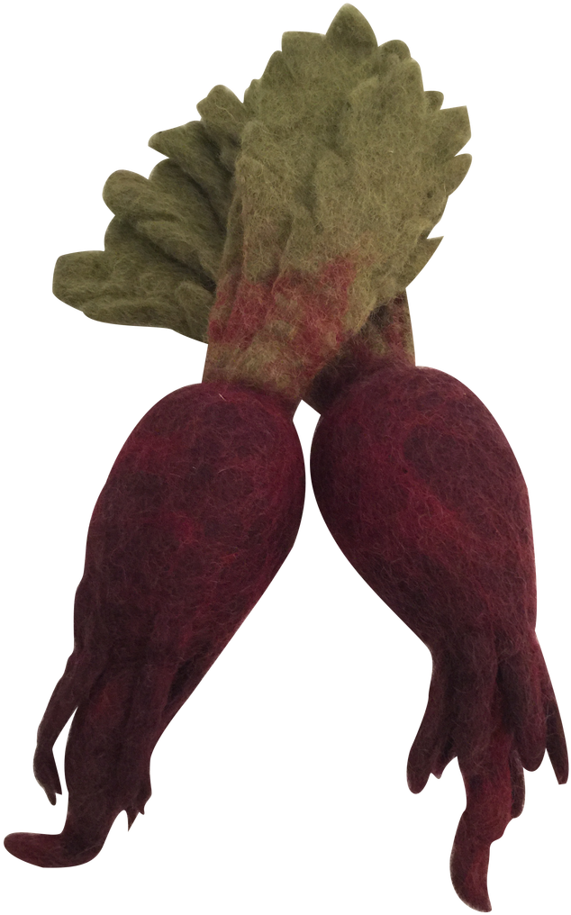 Beetroot The Salt Tribe - Beetroot Clipart (960x1280), Png Download