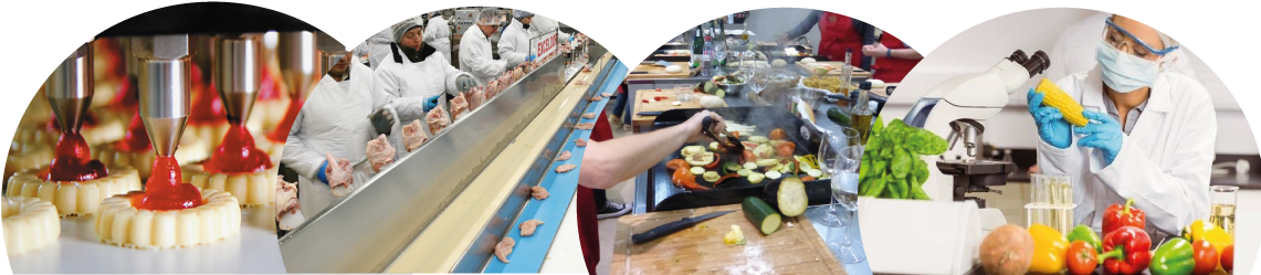 Banniere - Fish Clipart (1140x300), Png Download