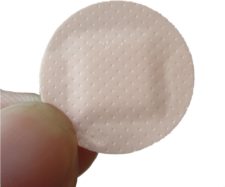 Curita - Circle Clipart (748x658), Png Download