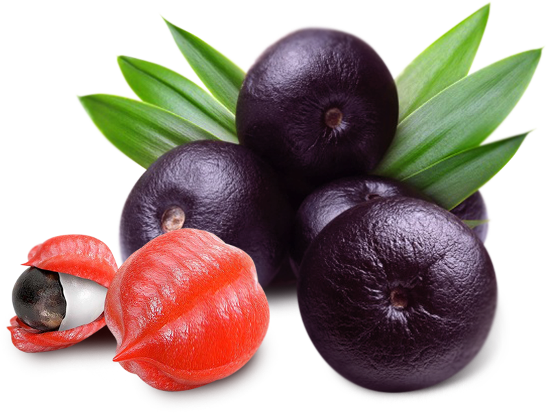 Acai Berry Clipart (796x602), Png Download