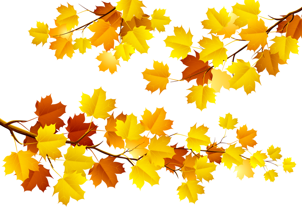 Фотки Fall Banner, Illustration, Free, Card Making, - Fun Autumn Leaves Clip Art - Png Download (1024x704), Png Download