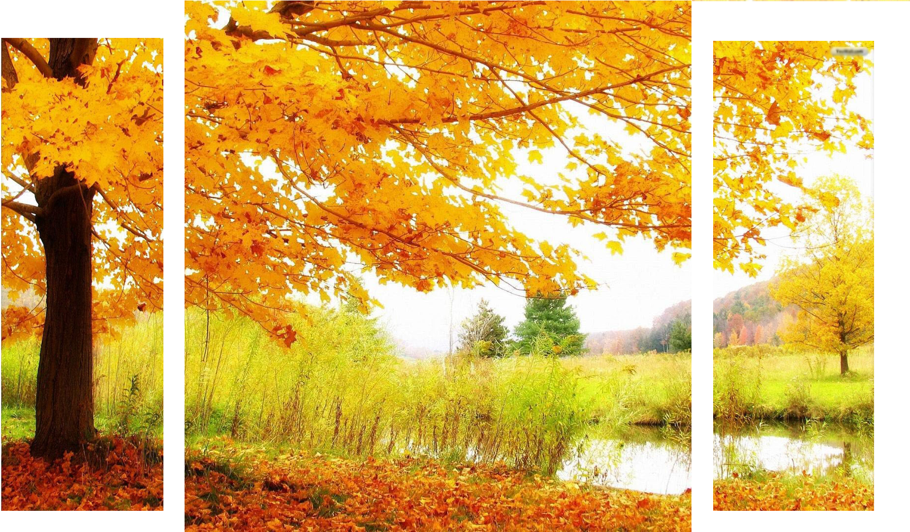 Autumnsplash Alt Banner Clipart (1849x1081), Png Download