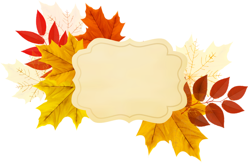 Фото, Автор Иришка-манюшка На Яндекс - Thanksgiving Background Clipart (800x525), Png Download