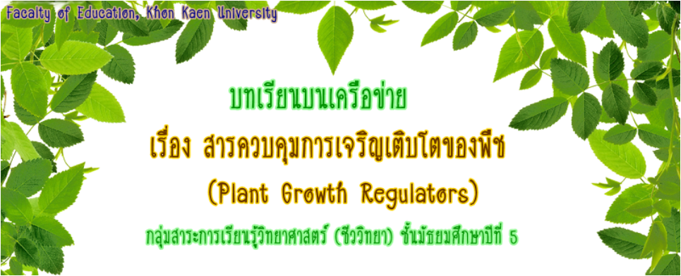 Diseases Of Neem Tree Clipart (965x392), Png Download
