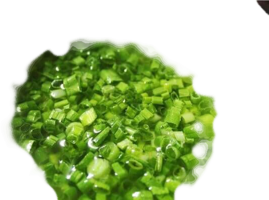 Green Onion Green Onion - Bead Clipart (1000x1000), Png Download