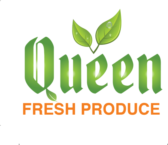 Graphic Design Clipart (640x566), Png Download