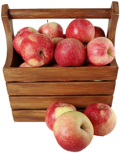 Isolated Apples Fruit Food Healthy Fresh Organic - Basket Of Apples Transparent Background Clipart (552x720), Png Download