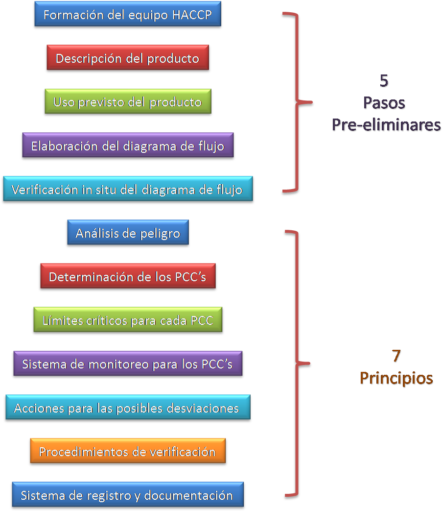 El Proceso De Implantación Deberá Seguir Las Diferentes - 12 Pasos De Haccp Clipart (933x1050), Png Download