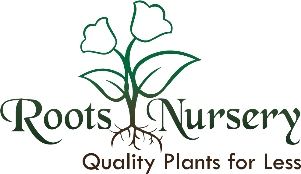 Garden Nursery Plants Nursery Logo Clipart (1071x600), Png Download