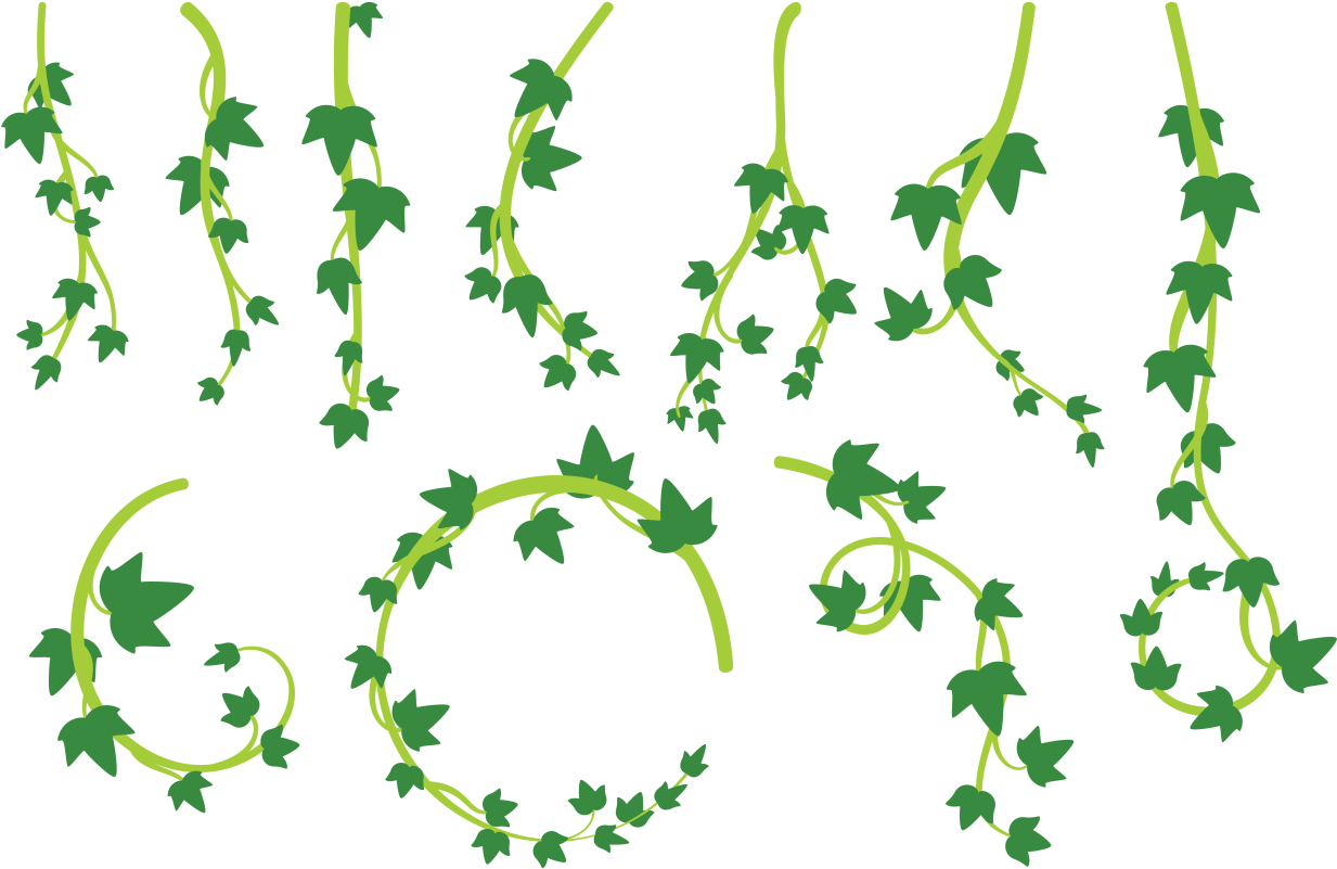 Лианы рисунок пнг