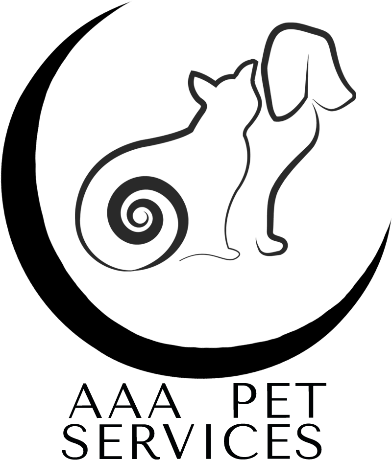 Illustration Clipart (1440x1440), Png Download