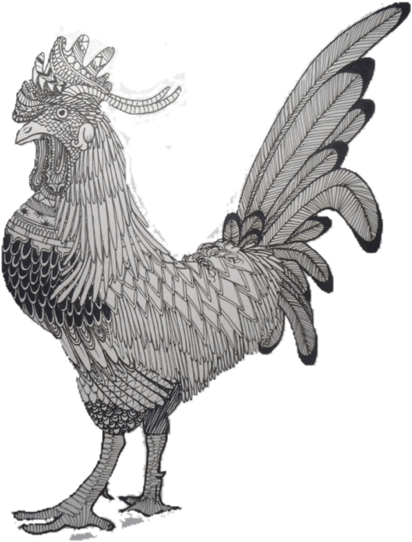 Draw Anything In A Zentangle Style - Rooster Clipart (680x802), Png Download