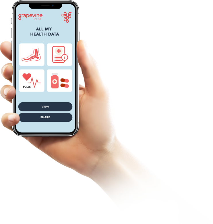 Phone - Hand With Mobile Png Clipart (742x780), Png Download