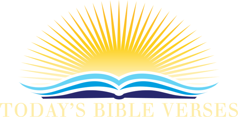 Graphic Design Clipart (800x392), Png Download