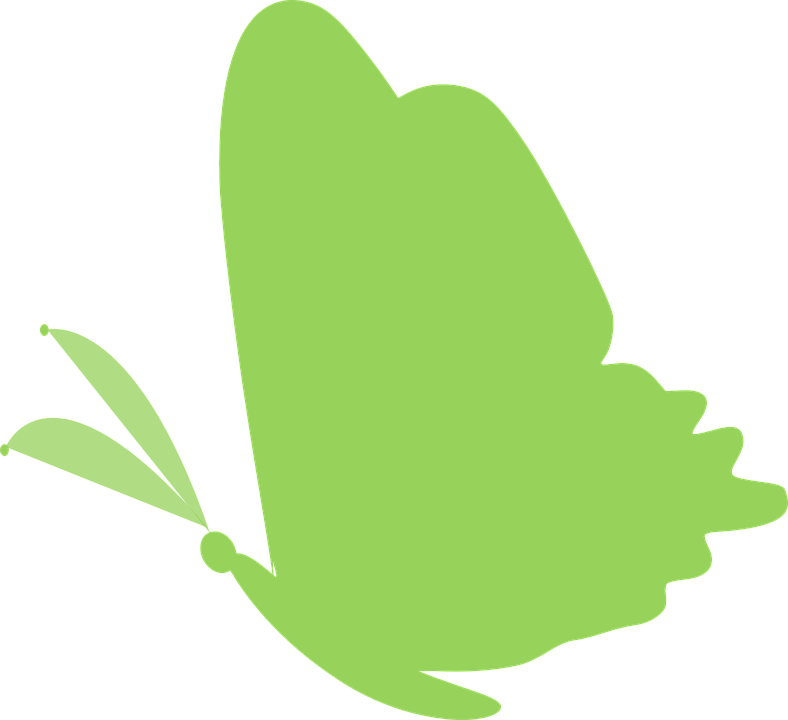 Butterfly Green Clip Art - Png Download (788x720), Png Download