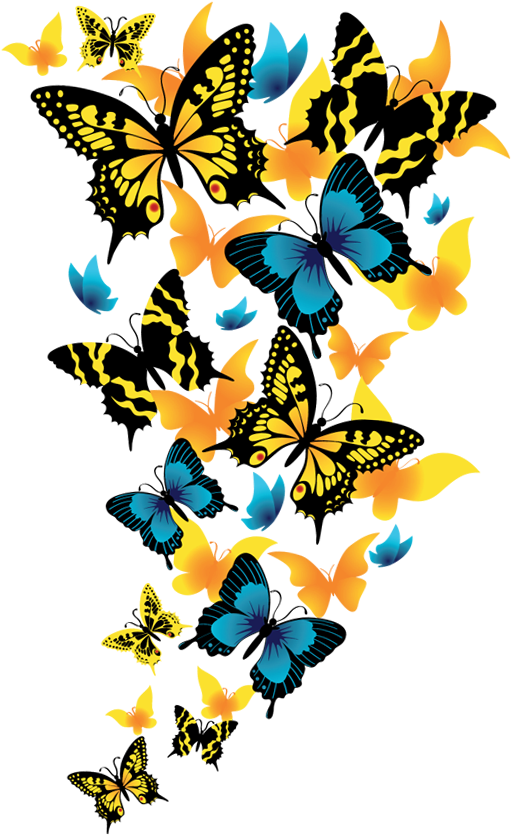 Butterflies Clipart Picture - Png Format Colorful Butterfly Png Transparent Png (572x898), Png Download