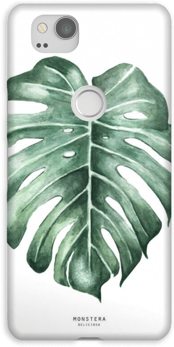 Monstera Deliciosa Case Pixel - Swiss Cheese Plant Clipart (484x800), Png Download