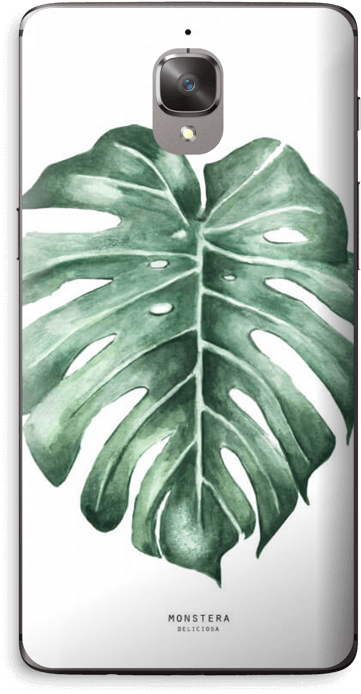 Monstera Deliciosa - Swiss Cheese Plant Clipart (412x800), Png Download