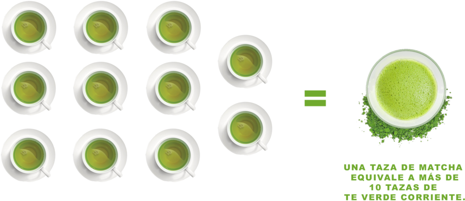 Una Taza De Matcha Son 10 D Te - Mockup De Identidad Gràfica Clipart (1024x454), Png Download