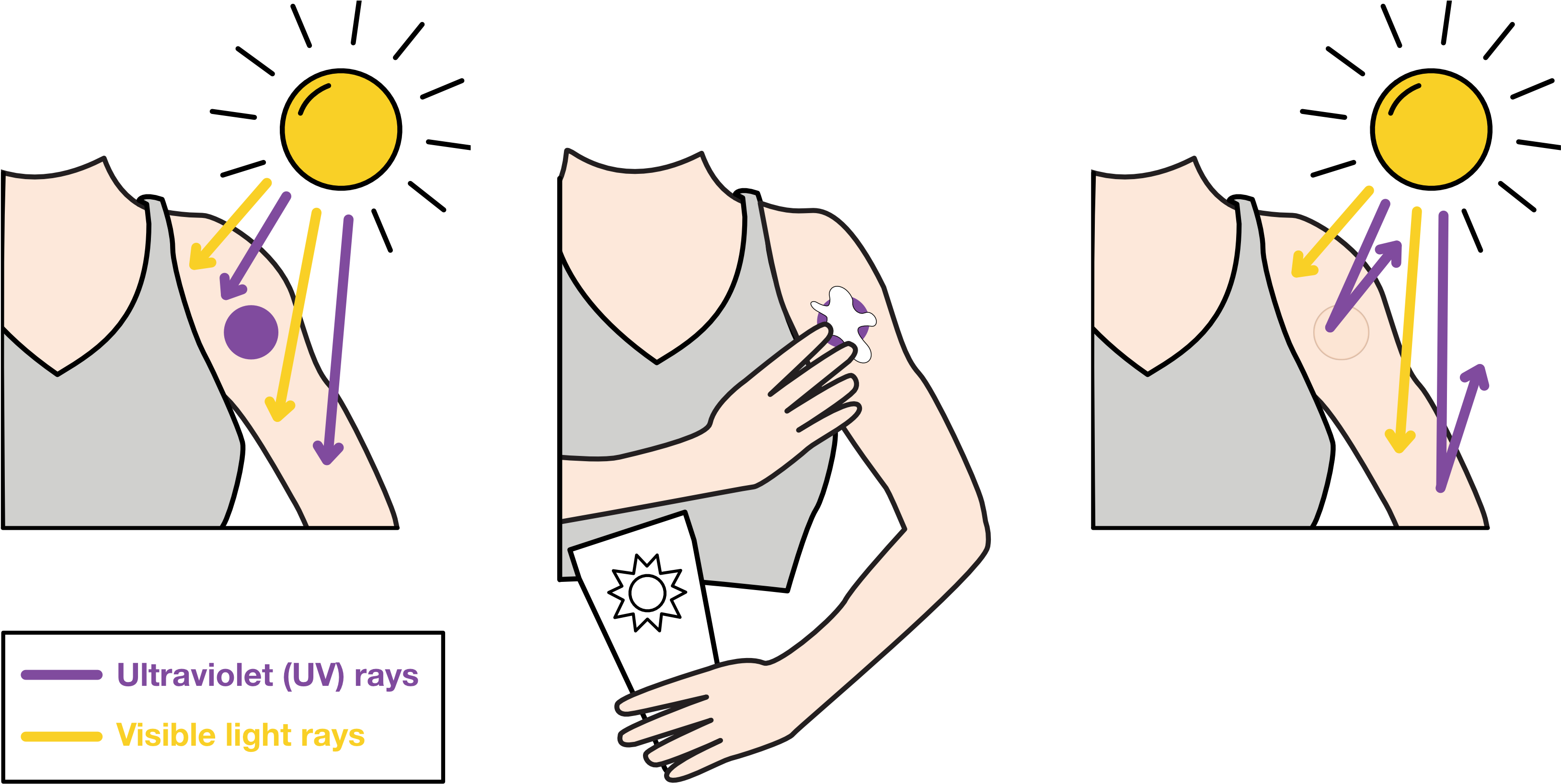 Since Sunscreen Blocks Uv Rays, But Lets Visible Light - Cartoon Clipart (3753x1857), Png Download