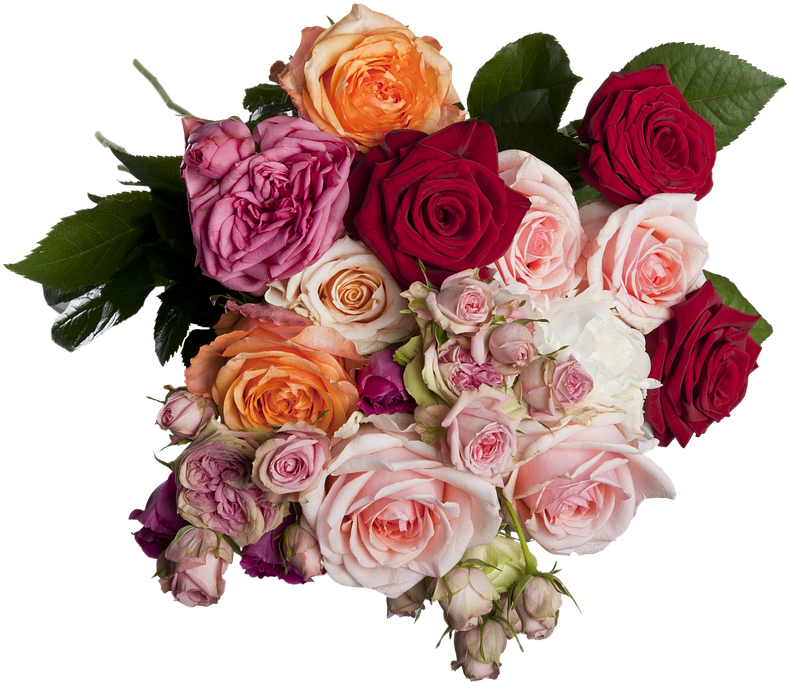 Isolated Roses Bouquet Multi Coloured Romantic - Buquê De Rosas Png Clipart (817x720), Png Download
