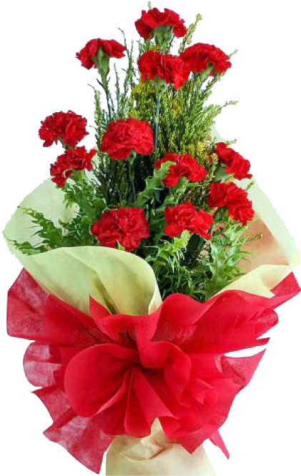 1 Dozen Red Carnation - Garden Roses Clipart (600x690), Png Download