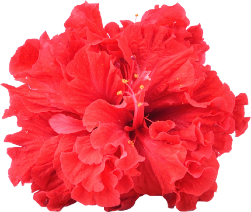 Sevgiliye 365 Gün Küçük Notlar Askere Clipart (860x726), Png Download