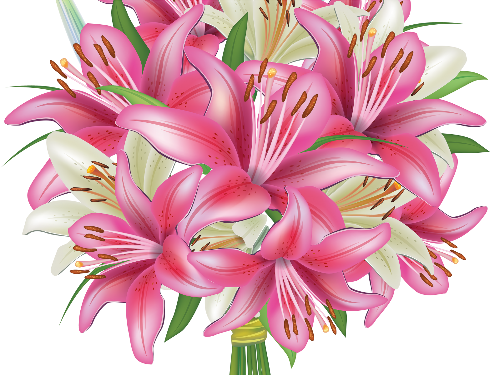 ช่อ ดอกไม้ ลิลลี่ Png Clipart (1600x1200), Png Download