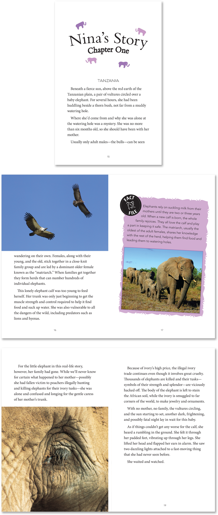 A True-life Story - Brochure Clipart (740x1711), Png Download