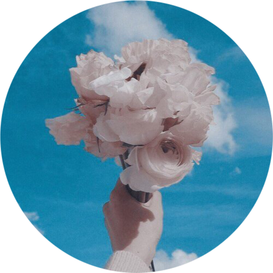Whiterose Bluesky Aesthetic Background Tumblr Roundobje - Peony Clipart (1024x1024), Png Download